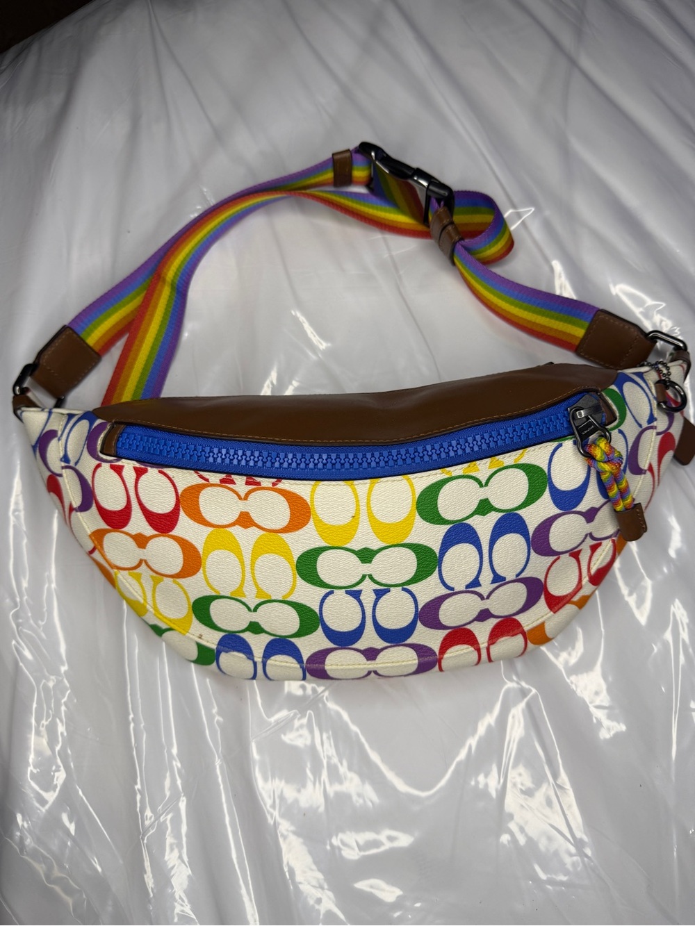 Coach Warren Belt Bag in Rainbow Signature Canvas